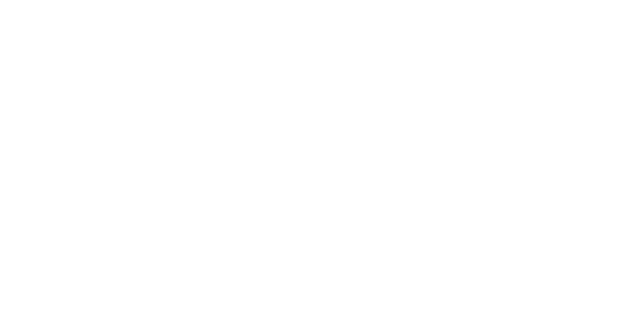 Dansek Group SRL Logo